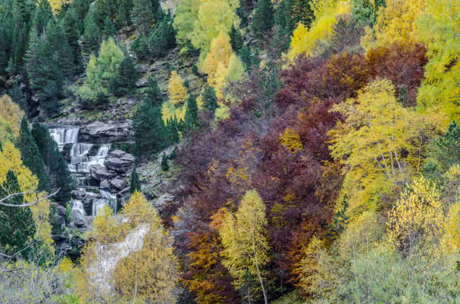 Huesca - parque nacional de Ordesa y Monte Perdido - valle de Ordesa 50 - Gradas de Soaso.jpg